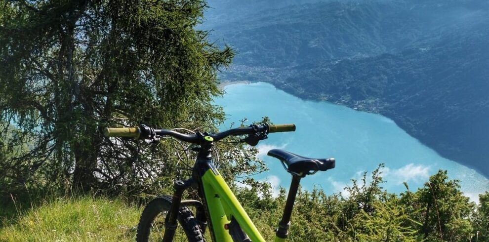 ebike