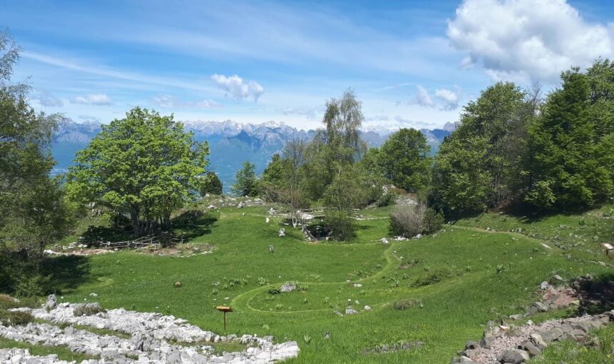 Il paese è piccolo. Ma il mercato è grande