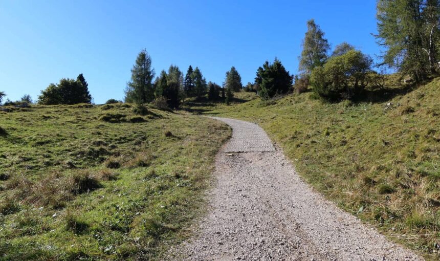 Chi ti accompagna ti fa vedere molto più di un sentiero